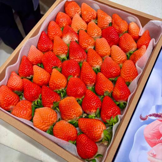 大盒草莓 香甜多汁 十年合作基地口感稳稳的 商品图2