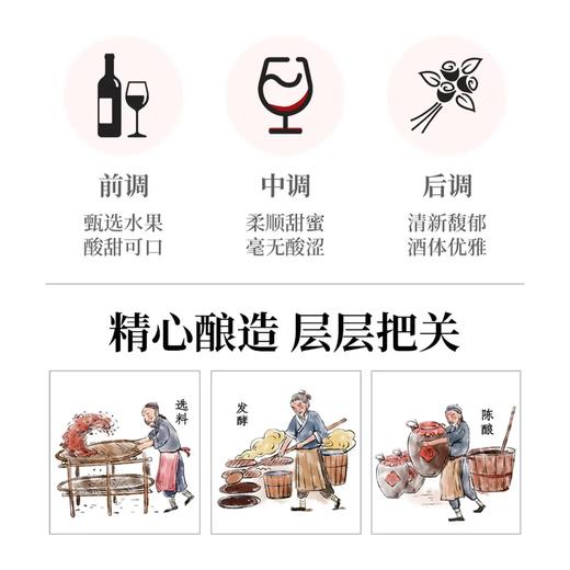 多宝礼盒 东星经典果酒瓶装7度四口味（树莓、山楂、猕猴桃、樱桃） 330ml*4 沈农食品产业研究院 商品图1