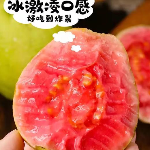 蜜糖红心芭乐2颗装 商品图0