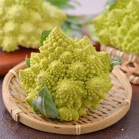 放心嫩嫩菜(宝塔花菜)200g/份