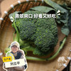 生态西蓝花 | 绿家自产*Ecological broccoli | In-House Production 商品缩略图0