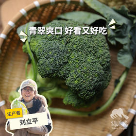 生态西蓝花 | 绿家自产*Ecological broccoli | In-House Production