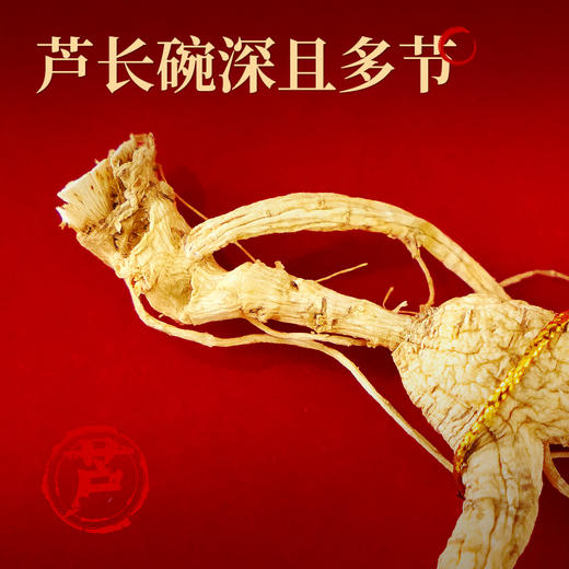 长白山林下参开窗（5g/盒） 商品图4