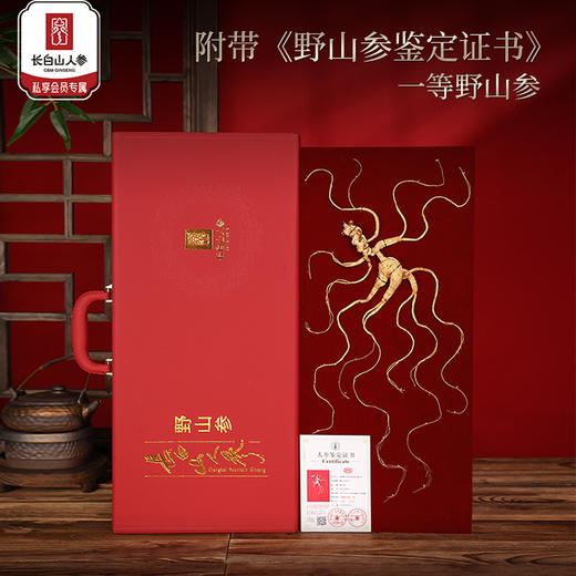 20年以上长白山野山参礼盒（6g-8g/盒） 商品图0