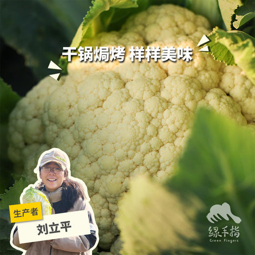生态花椰菜/白菜花 | 绿家自产*Ecological Cauliflower | In-House Production 商品图0