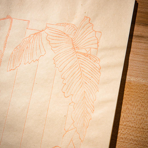 民国“九华堂仿古名笺”（原装一盒40张，共4种图案） 商品图12