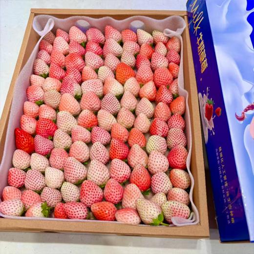 大盒草莓 香甜多汁 十年合作基地口感稳稳的 商品图8