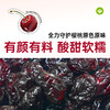 【鲜食】酸甜无核樱桃干250g 果干果脯 保质期90天 商品缩略图5