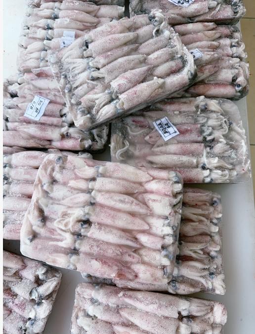 船冻鱿鱼 商品图0