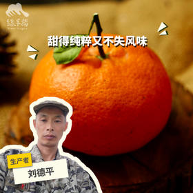 生态明日见&甘平（柑橘，限量20份）| 合作生产 *Ecology Tomorrow Will Meet Us & Ganping| Partner Production