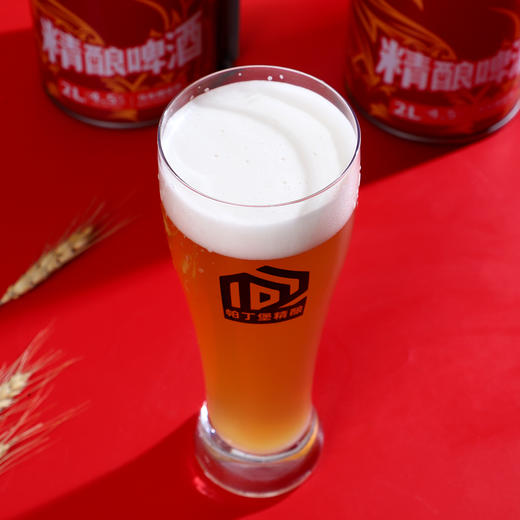 （马年新包装）帕丁堡马年限定精酿啤酒2L*6【臻选好酒】-简易包装 商品图2