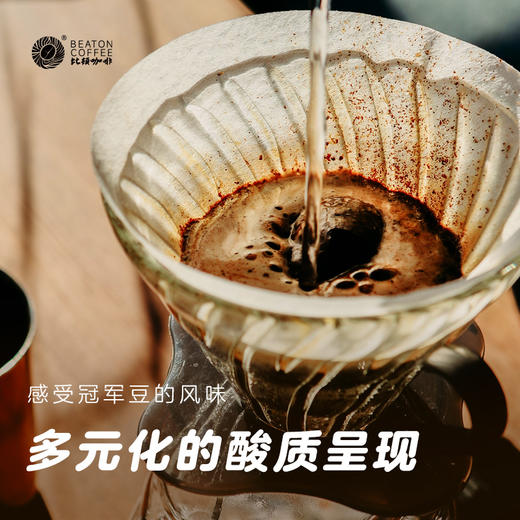比顿咖啡227克冠军咖啡豆 商品图2