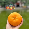 【云南沃柑】酸甜多汁 皮薄肉厚 肉质细腻 水分充足 清香四溢 给你一口爆汁的诱惑 4种规格任选 商品缩略图0