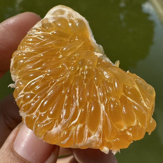 【云南沃柑】酸甜多汁 皮薄肉厚 肉质细腻 水分充足 清香四溢 给你一口爆汁的诱惑 4种规格任选 商品图11