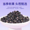 康美黑果枸杞200g/瓶 花青素足果粒饱满柄短肉厚可泡水青海头茬黑枸杞 商品缩略图2