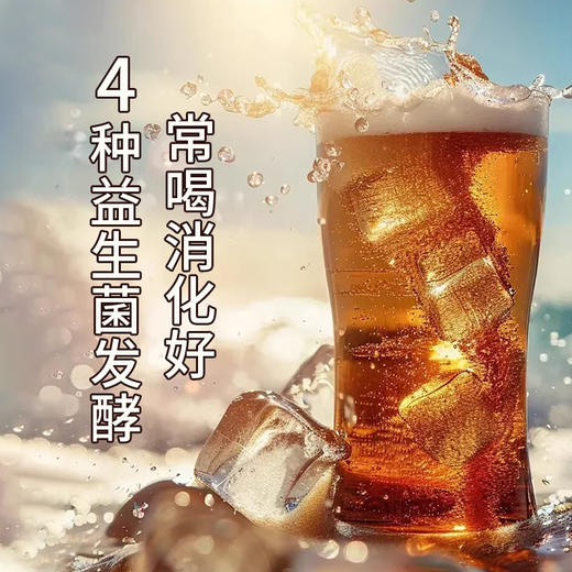 秋林格瓦斯益生菌发酵饮料石榴丨哈密瓜 1.5L/瓶 商品图2