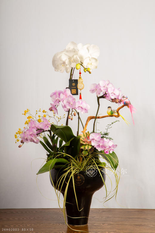 马不停蹄 商品图2