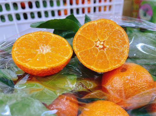 篮筐沙糖桔一箱 商品图0