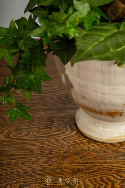 龙马精神 商品图5