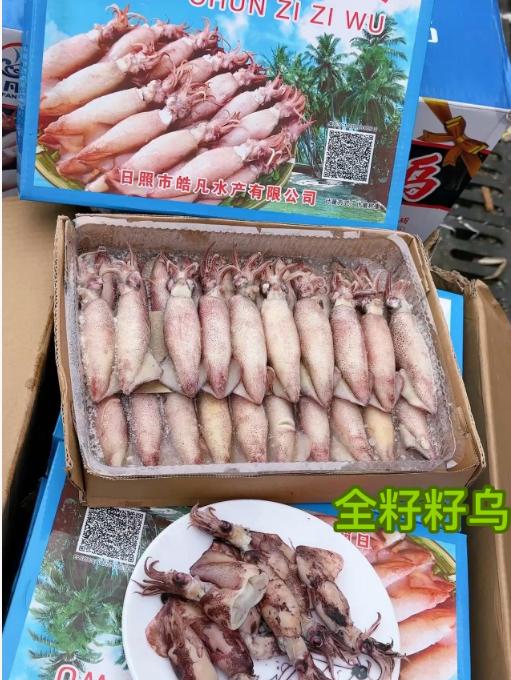 全籽籽乌 商品图0