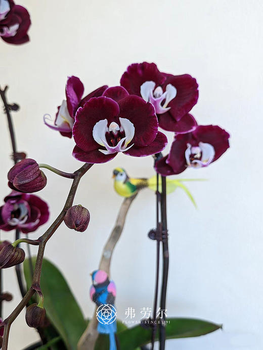 万马奔腾 商品图2