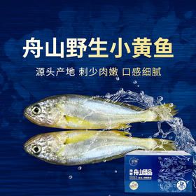 【舟山野生小黄鱼礼盒】黄金海域，纯正野生，液氮锁鲜，新年 “小金条”， 鲜礼首选！500克/袋，109元起~（2.13-2.24停发）