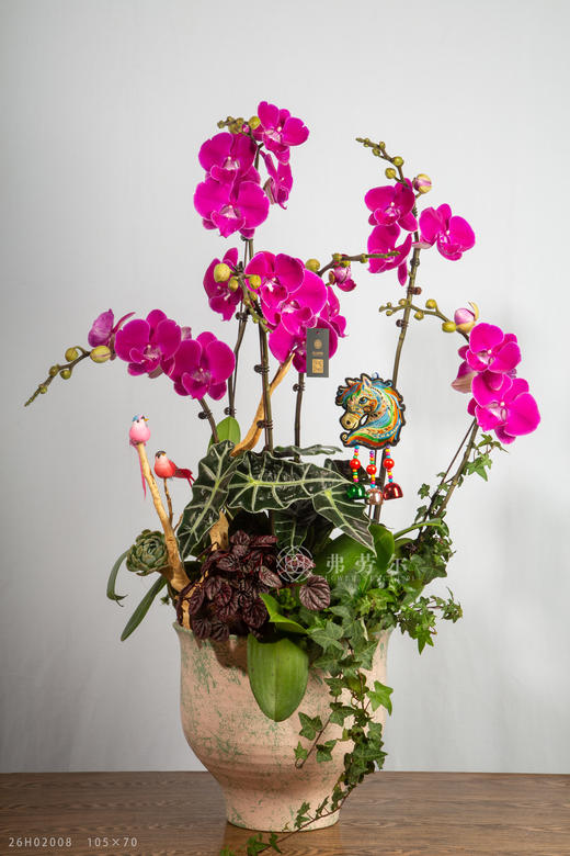 马踏青云 商品图2