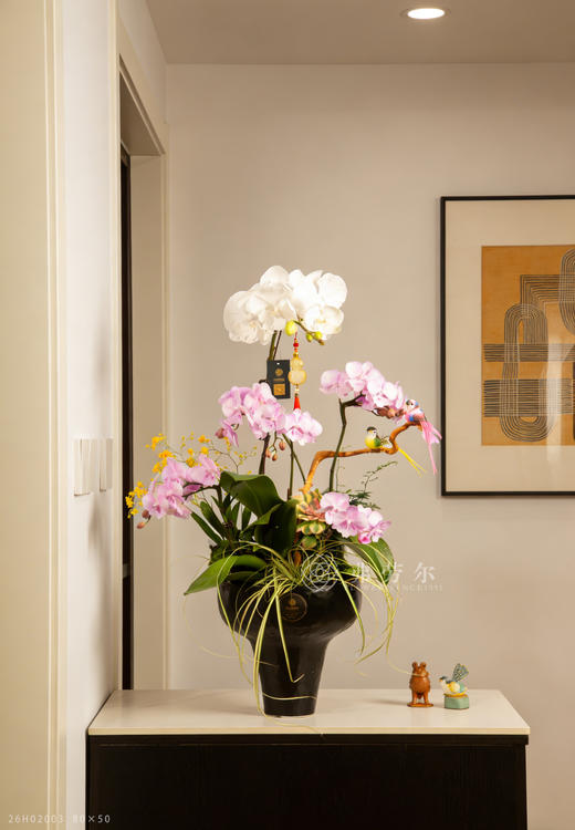 马不停蹄 商品图0