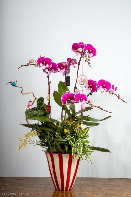 一马当先 商品图2