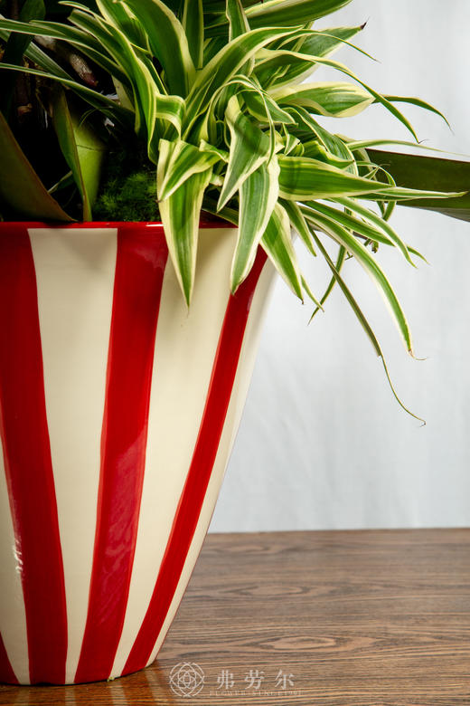 一马当先 商品图5