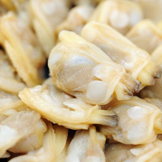 深海日记-蛤蜊肉500g 商品图2