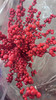 【清库存】冬青（富贵子）红色 5枝/扎  多规格 商品缩略图9