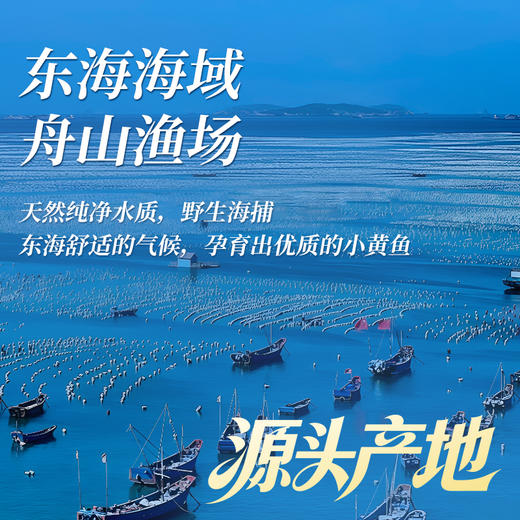 【舟山野生小黄鱼礼盒】黄金海域，纯正野生，液氮锁鲜，新年 “小金条”， 鲜礼首选！500克/袋，109元起~（2.13-2.24停发） 商品图1