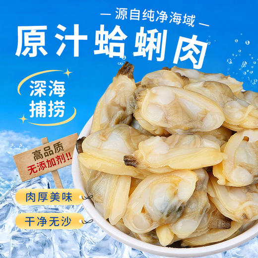 深海日记-蛤蜊肉500g 商品图0
