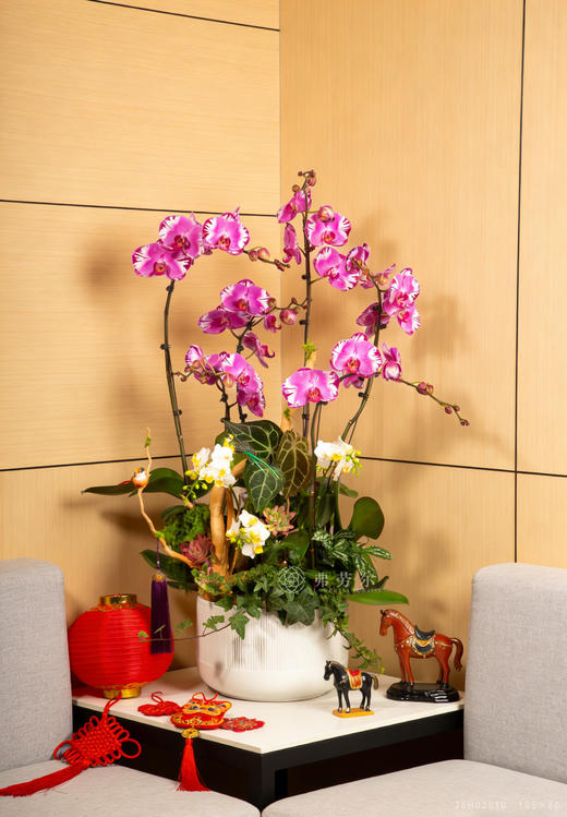 马骋千里 商品图0