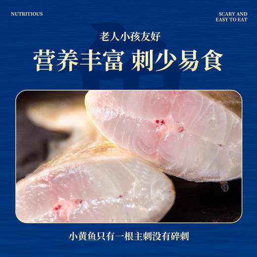 【舟山野生小黄鱼礼盒】黄金海域，纯正野生，液氮锁鲜，新年 “小金条”， 鲜礼首选！500克/袋，109元起~（2.13-2.24停发） 商品图4