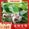 【年货节】桂柳老鸭 商品缩略图0