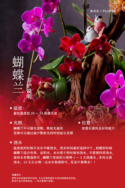 骏马踏歌来 商品图6