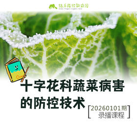 十字花科蔬菜病害的防控技术【线上】课程