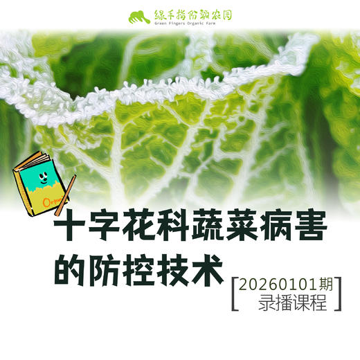 十字花科蔬菜病害的防控技术【线上】课程 商品图0