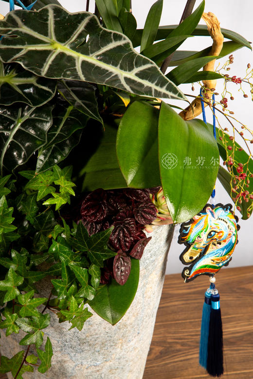 马跃新程 商品图4