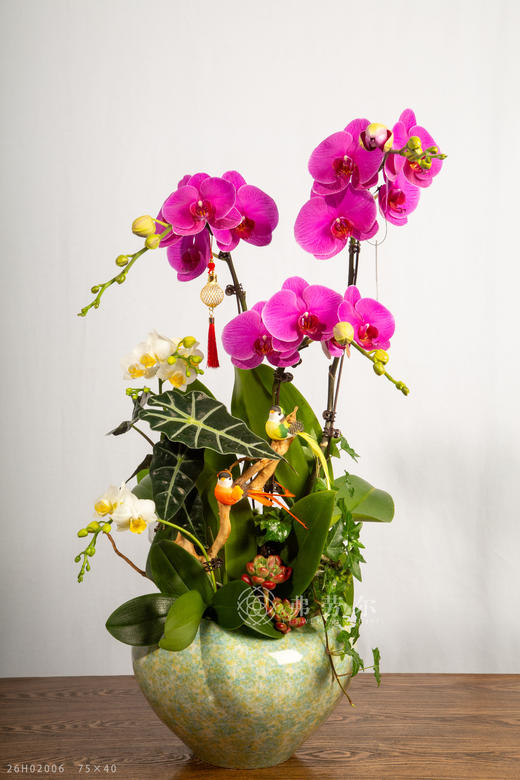 天马行空 商品图2