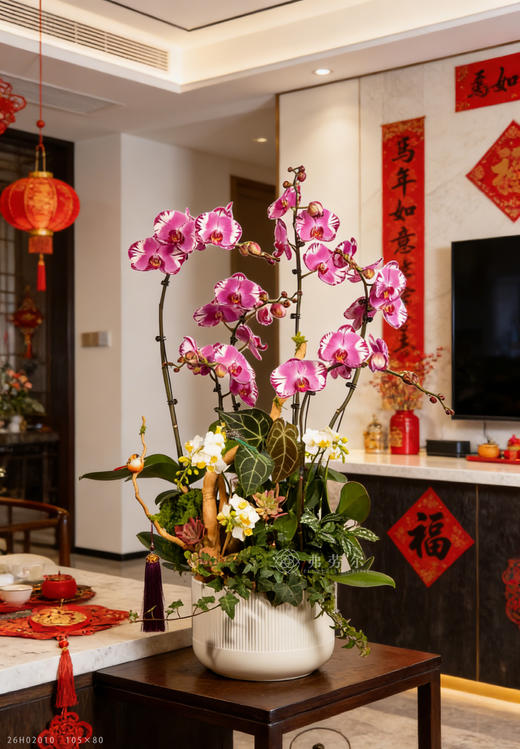 马骋千里 商品图1