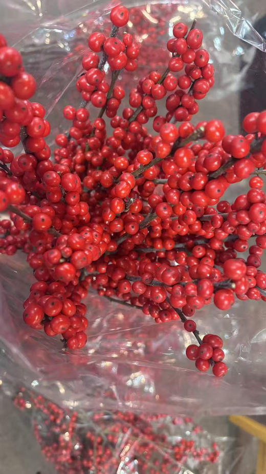 【清库存】冬青（富贵子）红色 5枝/扎  多规格 商品图7