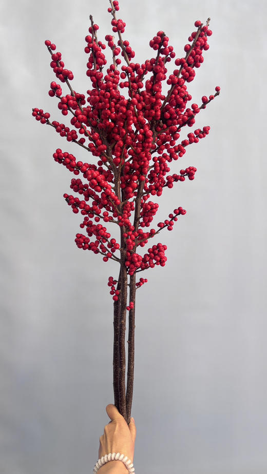 【天物A级】国产冬青/富贵子  多规格 商品图10