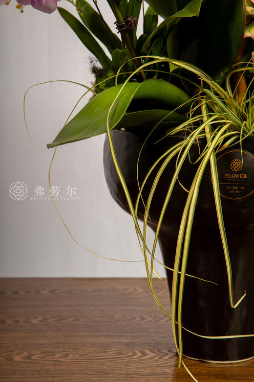 马不停蹄 商品图5