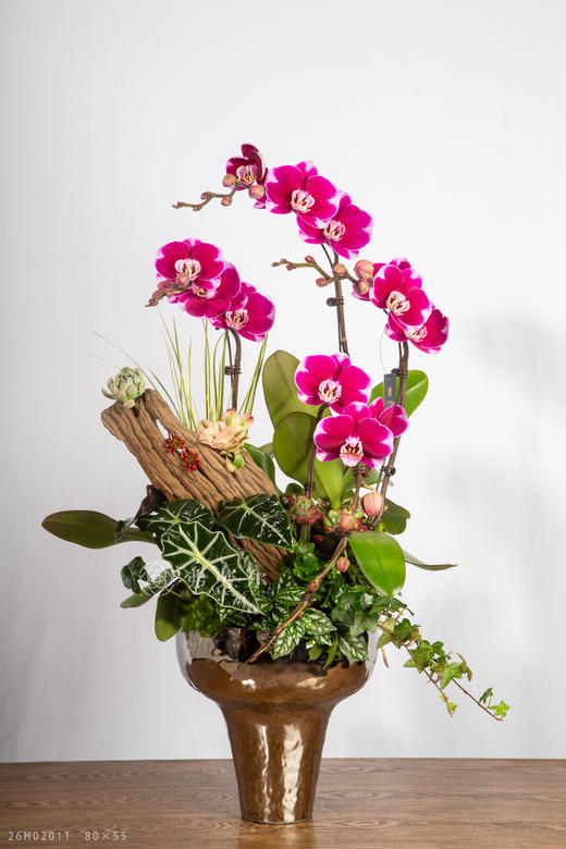 马啸宏图 商品图2