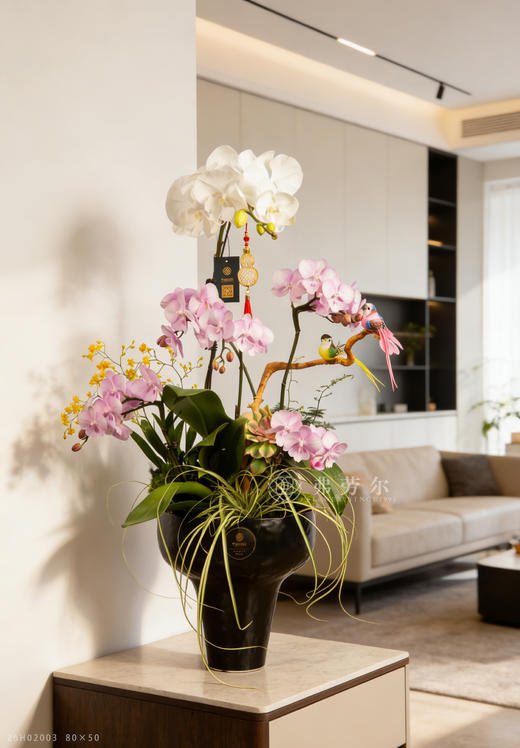 马不停蹄 商品图1