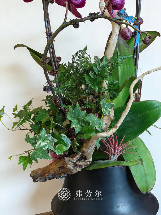 万马奔腾 商品图1