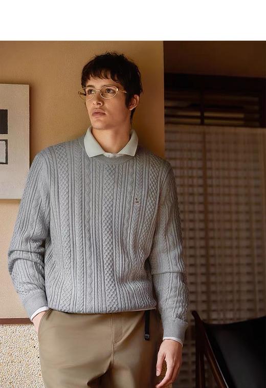 Hazzys哈吉斯男士圆领肌理感绞花毛衣保暖针织衫 商品图3